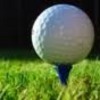 Thumbnail 8 Golf Articles - No Restriction Private Label Rights included! Thumbnail 8 Golf Articles - No Restriction Private Label Rights included!