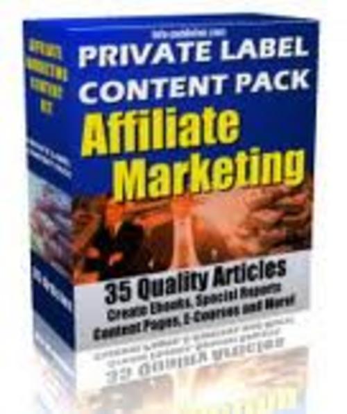 Product picture 35 Affiliate Marketing Articles - No Restriction Private Label Rights included!